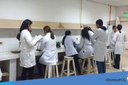 Culminaci√≥n de las Clases Te√≥rico ‚Äì Pr√°ctico del Metabolismo Bacteriano. Pruebas Bioqu√≠micas 